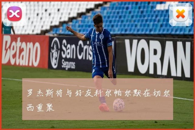 罗杰斯将与好友科尔帕尔默在切尔西重聚